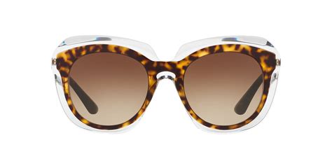 dolce and gabbana glasses sunglass hut